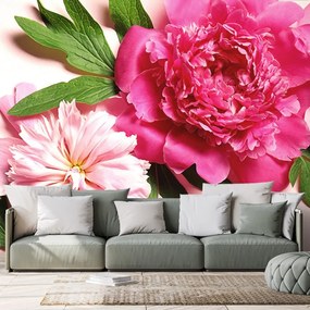 Carta da parati – Peonie in rosa