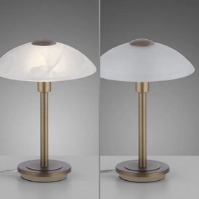 Paul Neuhaus 4026-11 - Lampada da tavolo LED dimmerabile ENOVA 1xG9/2,6W/230V