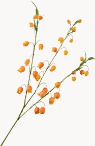 Set di 2 fiori artificiali Sandersonia