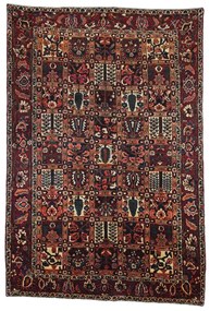 Bakhtiar Tappeto 210 x 310 (Iran)