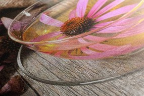 Quadro su tela – Tazza di tè alle erbe