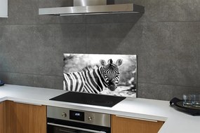 Rivestimento parete cucina Zebra retrò 100x50 cm