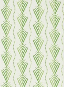 Nina Campbell Tapete Meridor - Green