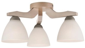 Lampadario ADRIANO 3xE27/60W/230V a plafone