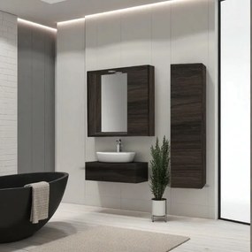 Specchiera bagno 60 cm 1 anta liscia e luce LED Olmo Caffč