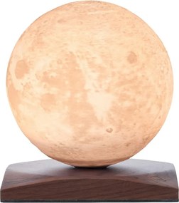 Decorazione luminosa marrone scuro con ricarica USB ø 12 cm Smart LunaSpin – Gingko