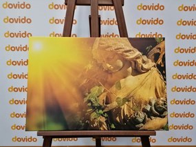 Stampa su tela – Angelo con raggi di sole