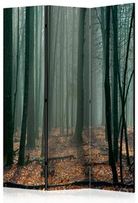 Paravento Witches' forest [Room Dividers]