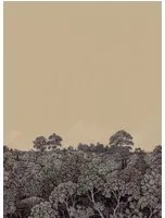 Nobilis Carta da parati panoramica Canopy 1 - MHP11