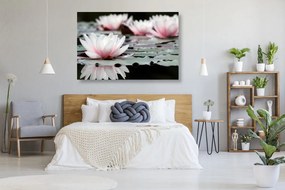 Quadro su tela – Fiore di loto