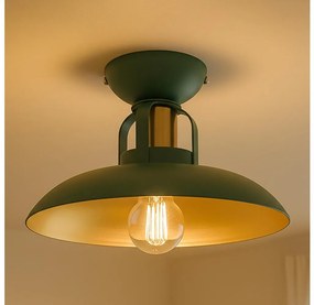 Brilagi - LED Lampadario a plafone FLAMENGO 1xE27/60W/230V verde