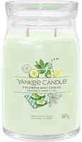 Cucumber Mint Cooler, candela in giara grande Yankee Candle