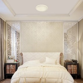 Rabalux 5449 - Plafoniera dimmerabile a LED DANNY LED/36W/230V + telecomando