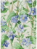 Manuel Canovas Carta da parati Elena - Ciel