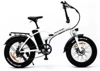 Italia power - schiano italia power branch nera (ebk921) folding fat e-bike (nero) - bicicletta elettrica - ruote 20x4 - motore 250w - batteria 36v 10.5ah - telaio in alluminio - display lcd - freni a disco - autonomia fino ad 45km - ammortizzatori an