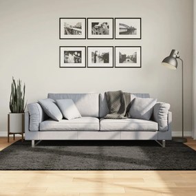 Tappeto A Pelo Lucido Lungo Istan Effetto Antracite 140x200 Cm /