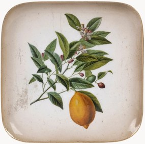 Vassoio Lemon Tree