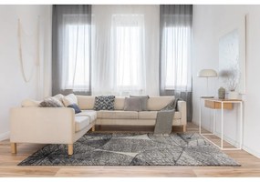 Tappeto grigio 160x230 cm Lush - FD