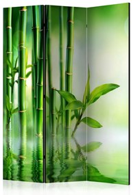 Paravento design Boschetto bambù (3 parti) - composizione verde zen