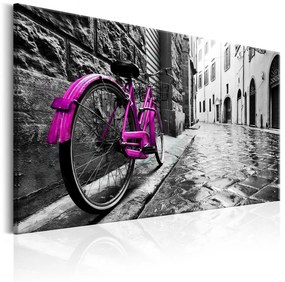 Quadro Vintage Pink Bike