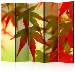 Paravento Colourful leaves II [Room Dividers]