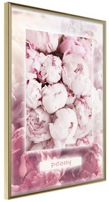 Poster  Scent of Peonies  Cornice Quadri Cornice d'oro, Larghezza x Altezza Home decor 20x30