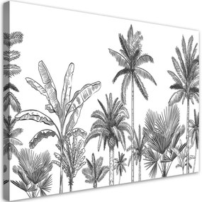 Quadro su tela, Palme in bianco e nero  Dimensioni 60x40