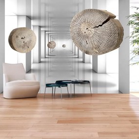 Fotomurale adesivo  Inventive Corridor  Larghezza x Altezza Home decor 147x105