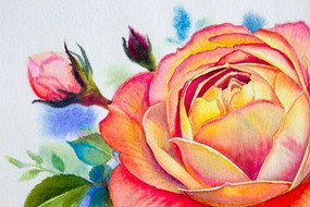 Carta da parati autoadesiva – Rose disegnate