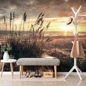 Carta da parati – Tramonto sulla spiaggia