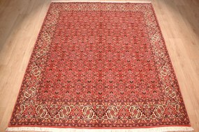 Bidjar Tappeto 240x200 (Iran) Annodato A Mano