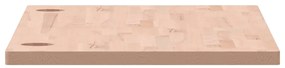 Piano scrivania 100x50x2,5 cm in legno massello di faggio