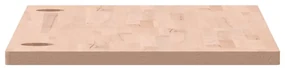 Piano scrivania 100x50x2,5 cm in legno massello di faggio