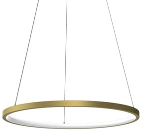 Lampadario LED a sospensione con filo HOOP LED/27W/230V diametro 50 cm 4000K oro