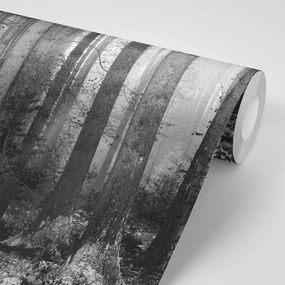 Carta da parati autoadesiva – Mistero del bosco in bianco e nero