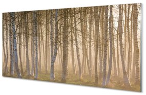 Quadro in vetro Alberi della foresta all'alba 100x50 cm