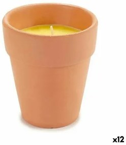 Candela Citronella 8 x 8 x 8 cm (12 Unità)