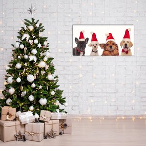 Quadro su vetro acrilico Cani di Babbo Natale Natale 100x50 cm