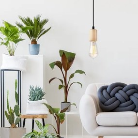 Lampadario a cavo LEON 1xE27/60W/230V