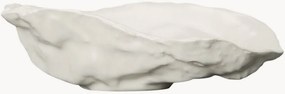 Ciotola decorativa Oyster