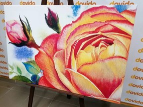 Stampa su tela – Rose in sfumature rosa