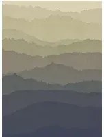 Zoffany Carta da parati panoramica Wray - Tigers Eye/ Ink