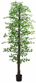 Pianta Di Ficus Artificiale 2016 Foglie 300 Cm Verde /