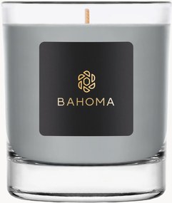 Candela profumata fatta a mano Ash (eucalipto, mirtillo nero)