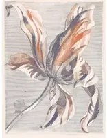 Eijffinger Carta da parati Tulip Teyler - Weiß Orange
