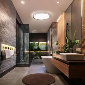 Solight WO826-LED Plafoniera da soffitto per bagno ACATE 24W/230V, 3000/4000/6000 K, Ø 29,3 cm, IP54