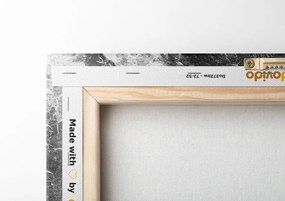 Stampa su tela – Volto del leone in bianco e nero