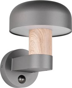 Illuminazione esterna con sensore di movimento da parete (altezza totale 24,5 cm) Fraser – Trio