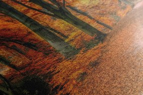 Stampa su tela – Foresta in autunno
