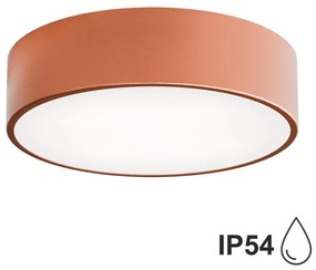 Plafoniera bagno CLEO 2xE27/24W/230V d. 30 cm rame IP54